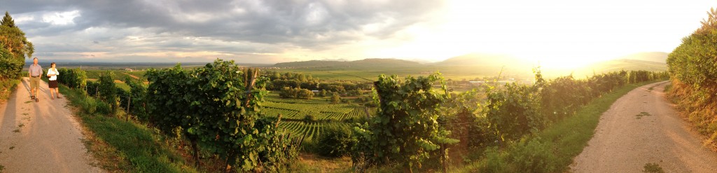 Route de Vin in Alsace