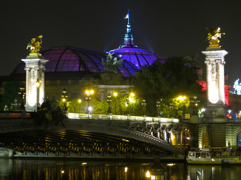 Party at Grand Palais in Paris 2013