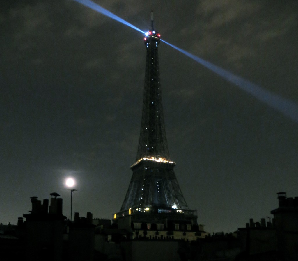 Party at Grand Palais in Paris 2013