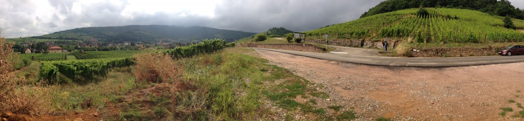 Route de vin in Alsace