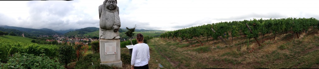 Route de vin in Alsace