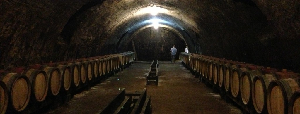 Domaine Borgnat´s wine basement