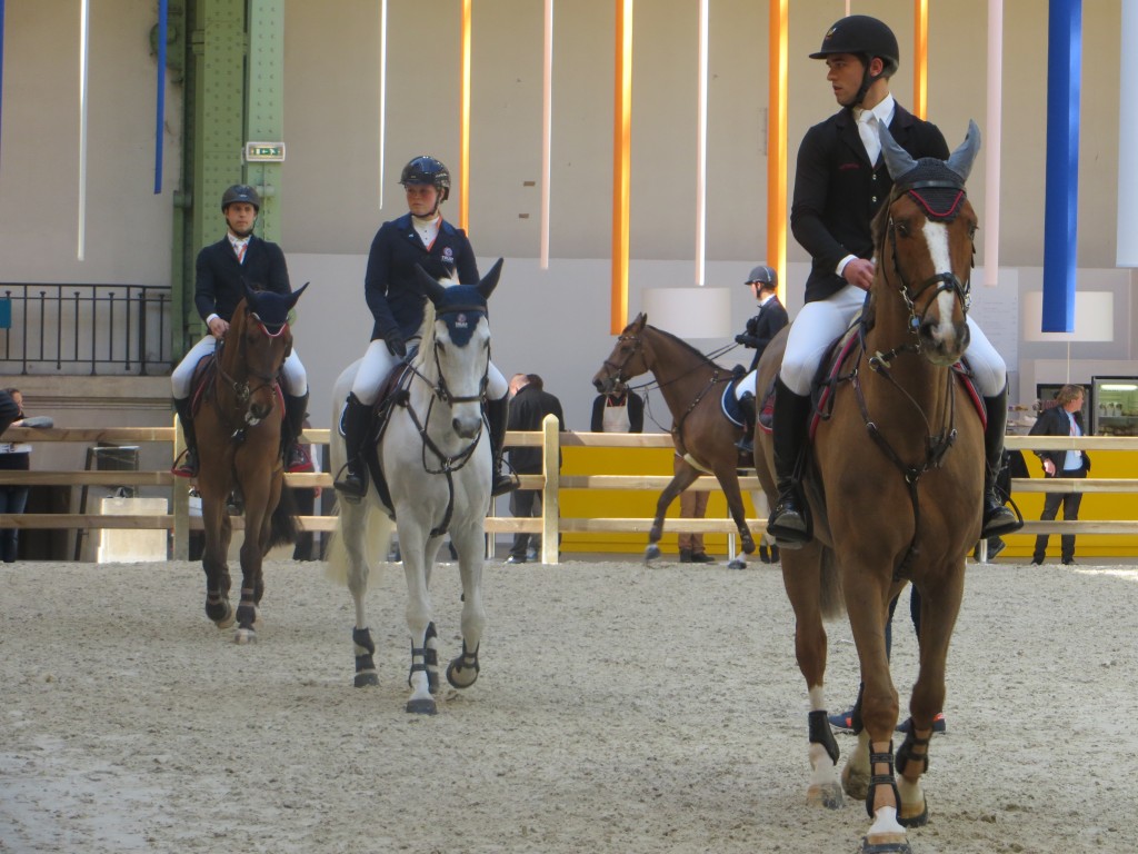 Saut d´Hermes grand palais paris 2014 