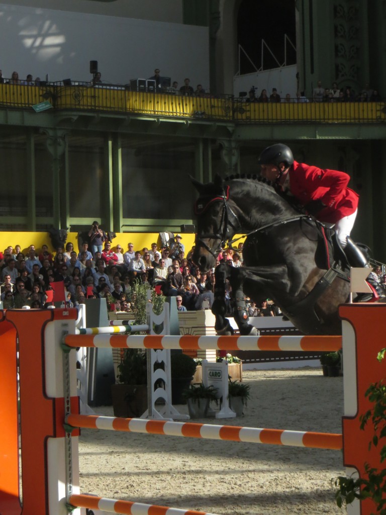 Saut d´Hermes Grand Palais Paris 2014