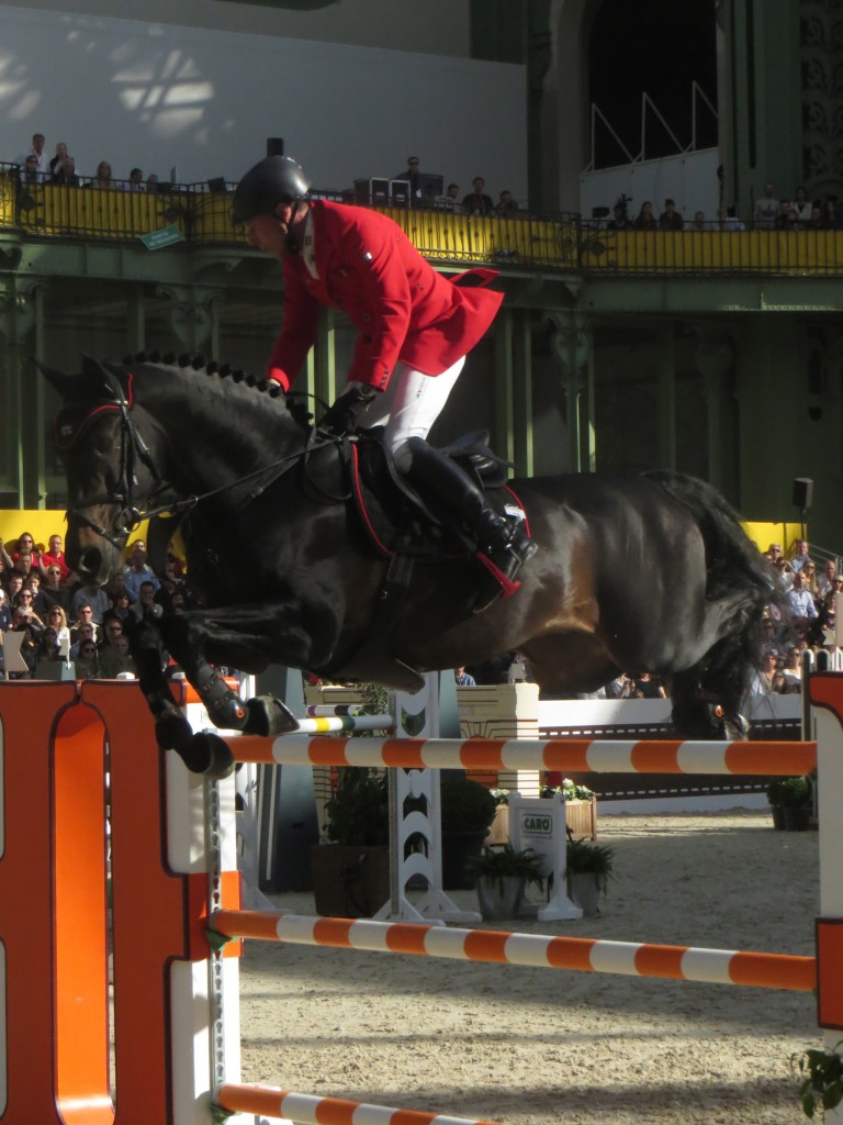 Saut d´Hermes Grand Palais Paris 2014