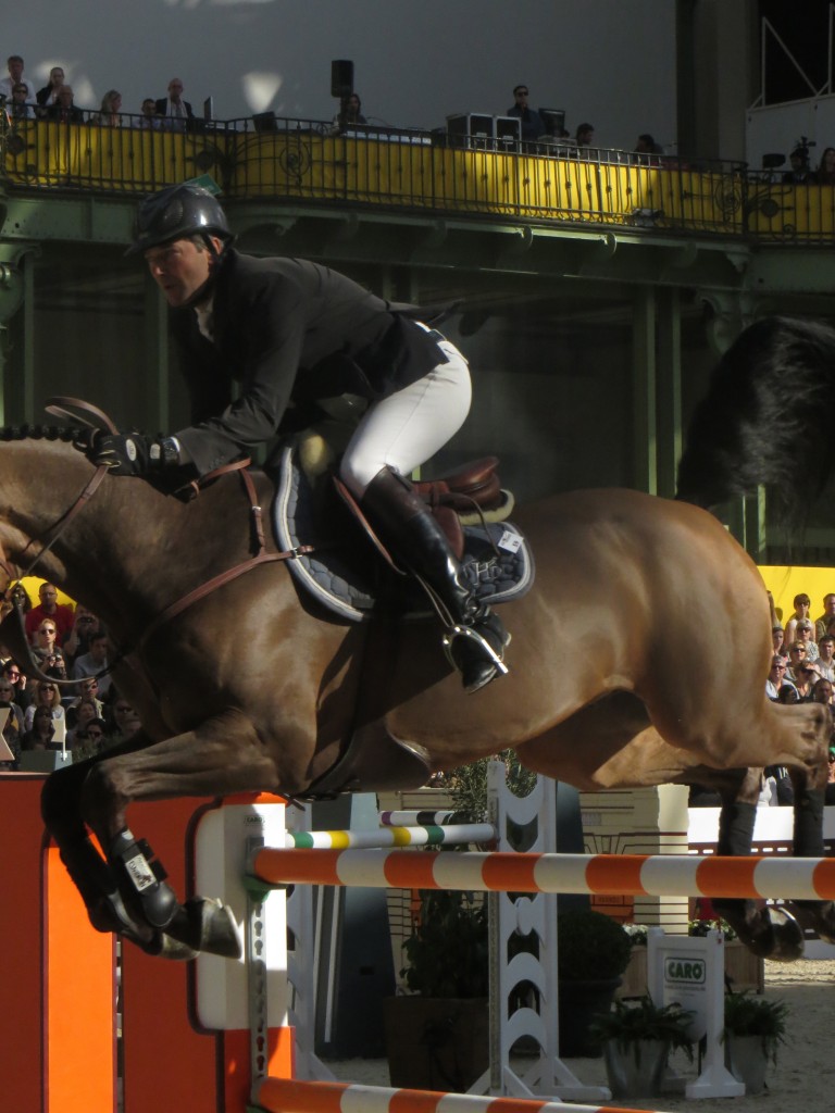 Saut d´Hermes Grand Palais Paris 2014