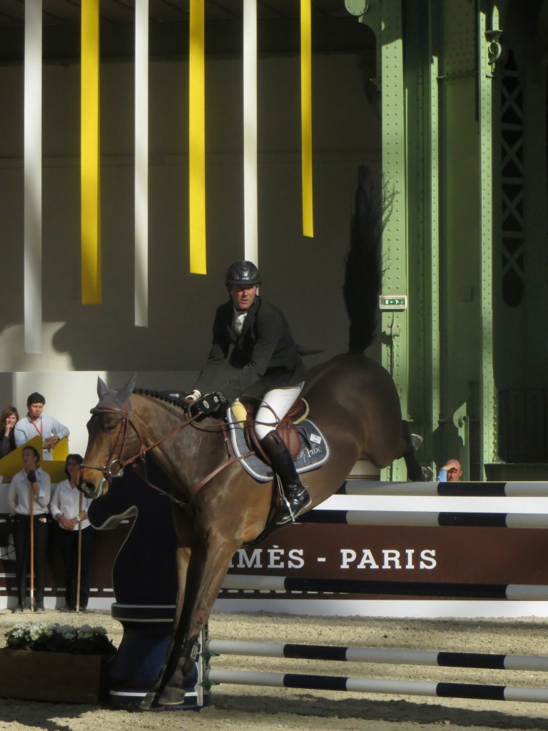 Saut d´Hermes Grand Palais Paris 2014