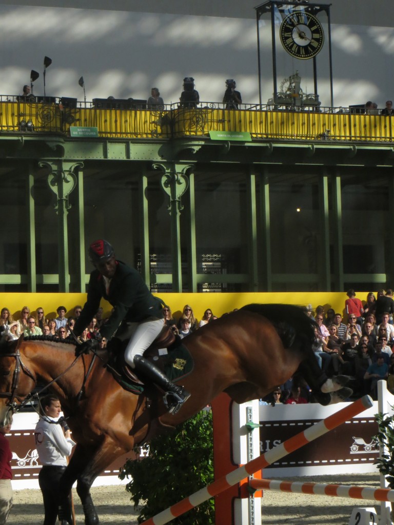 Saut d´Hermes Grand Palais Paris 2014