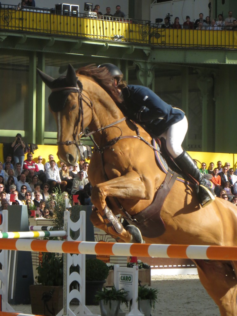 Saut d´Hermes Grand Palais Paris 2014