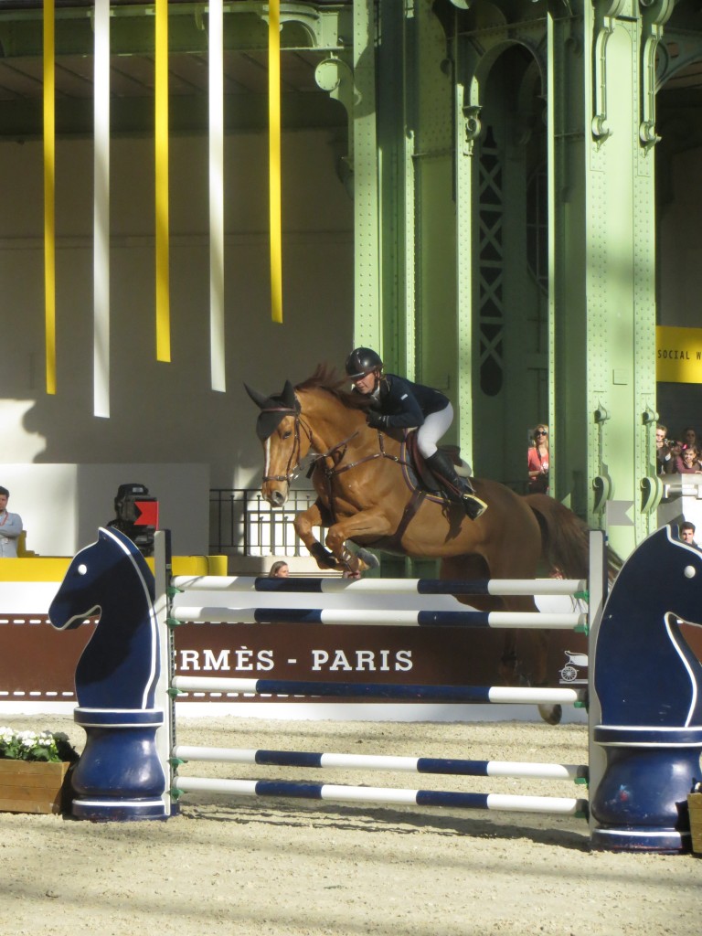 Saut d´Hermes Grand Palais Paris 2014