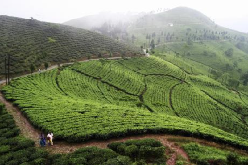 Mariage Frères tea tasting - Agent luxe blog