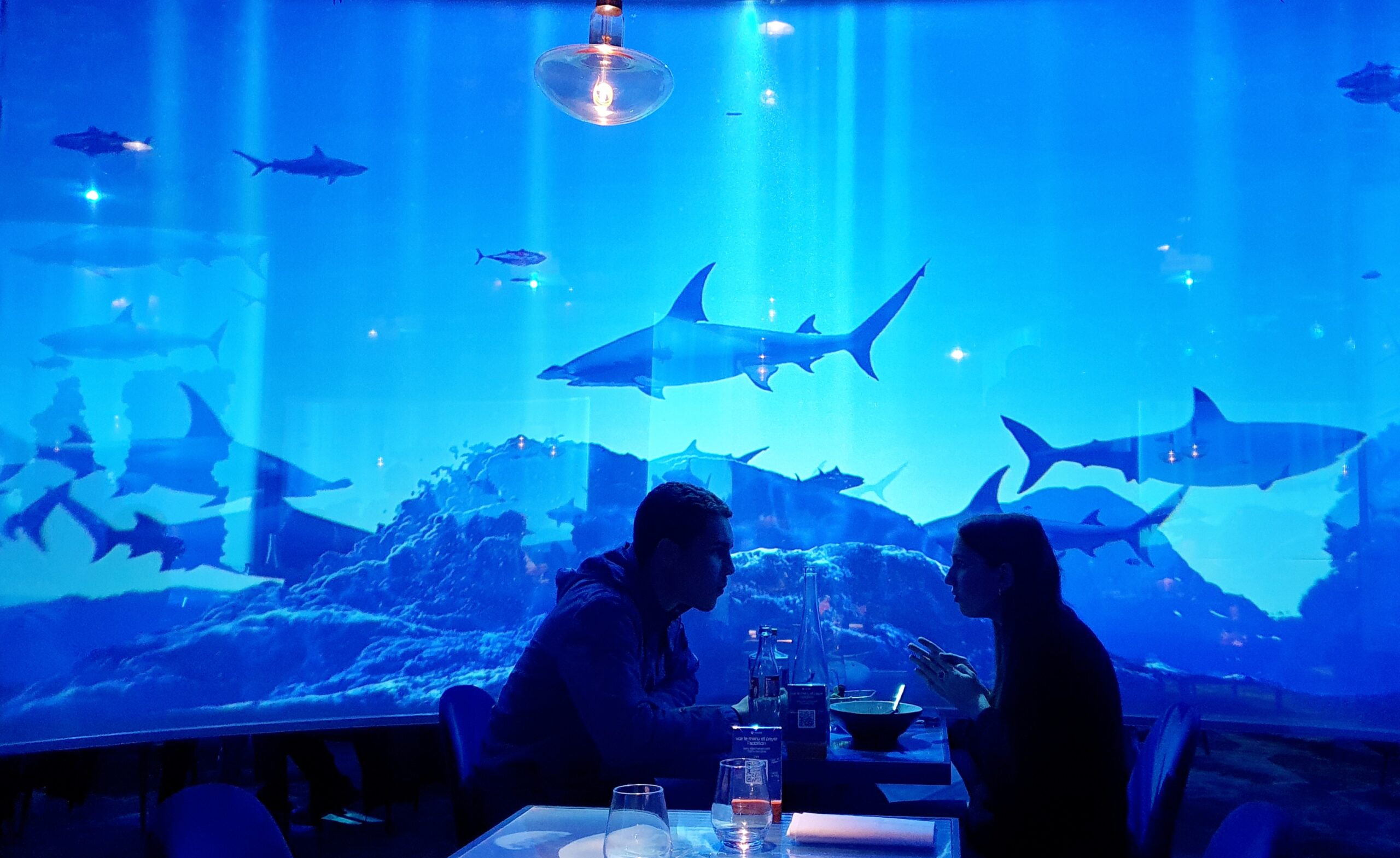 Under The Sea Restaurant In Paris Agent Luxe Blog Under the sea restaurant in paris agent luxe blog